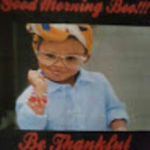 Meet your Posher, Lavender